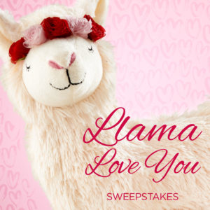 Llama Love You Sweepstakes
