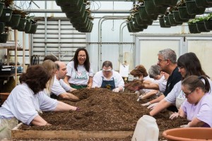 Smile Farms Farmer Spotlight Farmers Working with Mulch